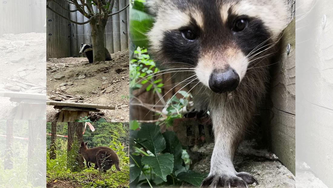 Ein schöner Tag im Neuwieder Zoo